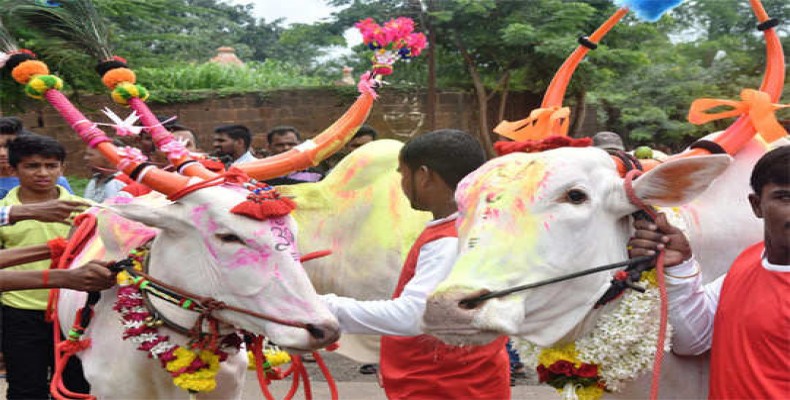 category photo
